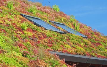Maugersbury living roof systems